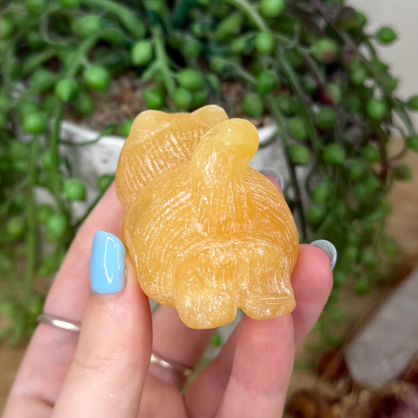 Yellow Calcite Cat (Y959)