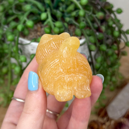 Yellow Calcite Cat (Y959)