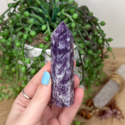 Purple Mica / Aquamarine Point (Y941)