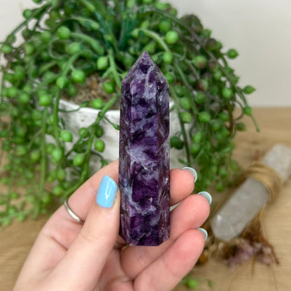 Purple Mica / Aquamarine Point (Y939)