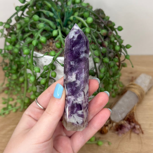Purple Mica / Aquamarine Point (Y942)