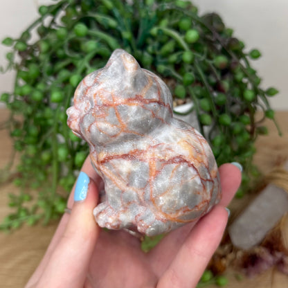 Red Vein Jasper Cat (Y924)