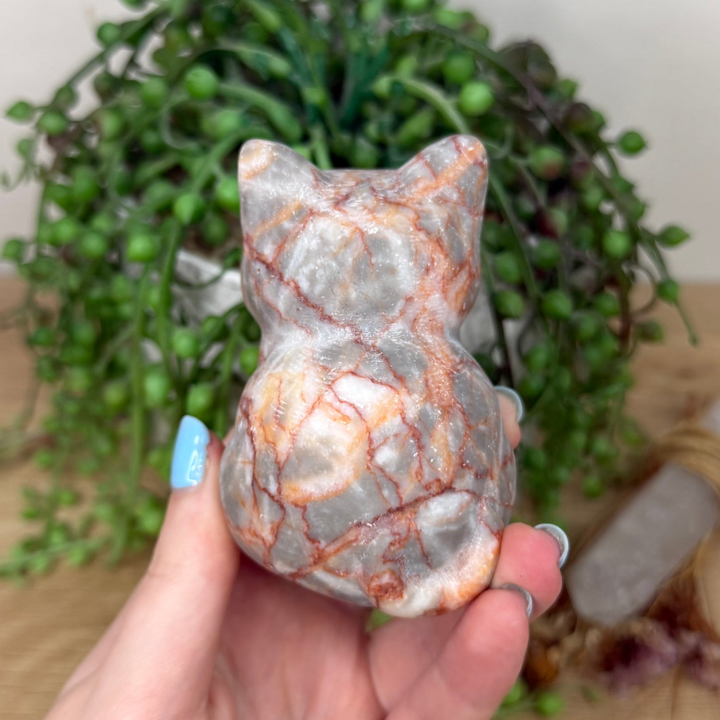 Red Vein Jasper Cat (Y924)