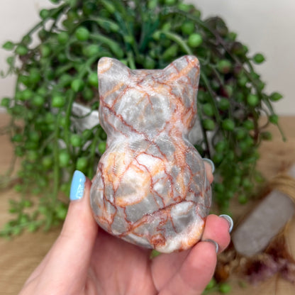 Red Vein Jasper Cat (Y924)