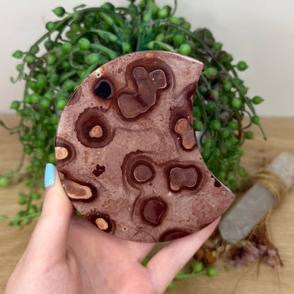 Picture Stone Jasper Moon (Y928)