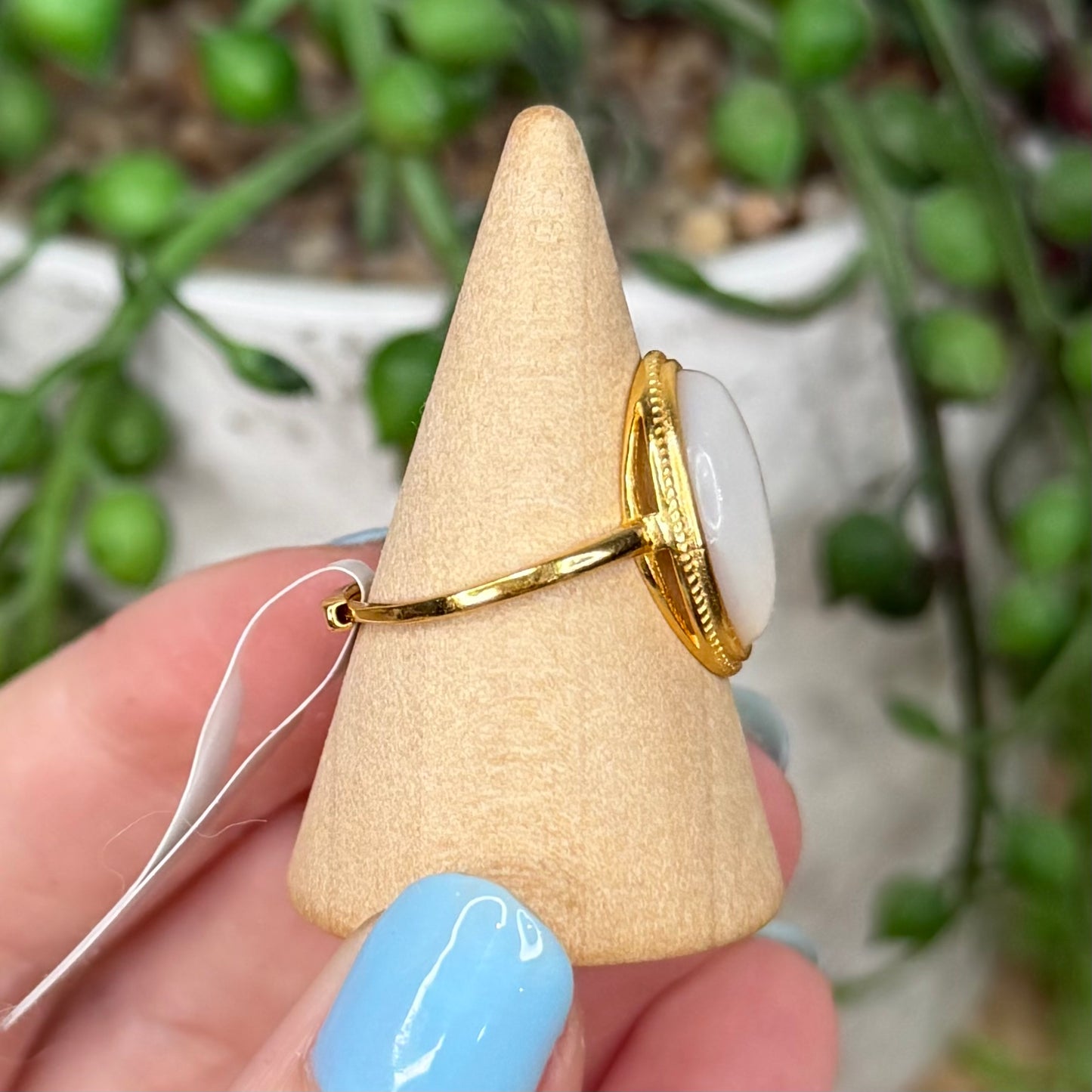 Shell Gold Plated Ring (X178)