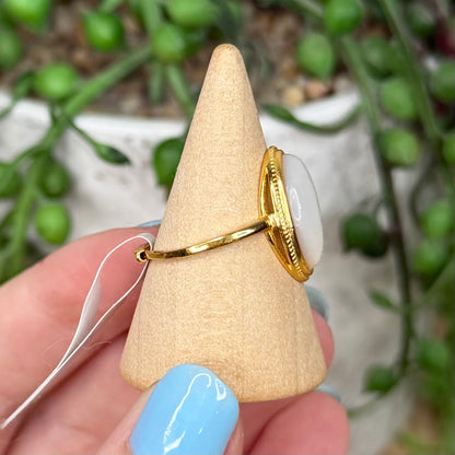 Shell Gold Plated Ring (X178)