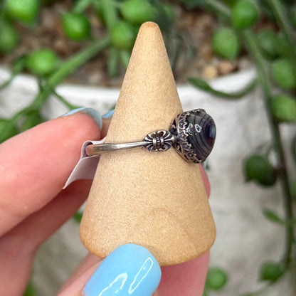 Shell S925 Ring (Y979)