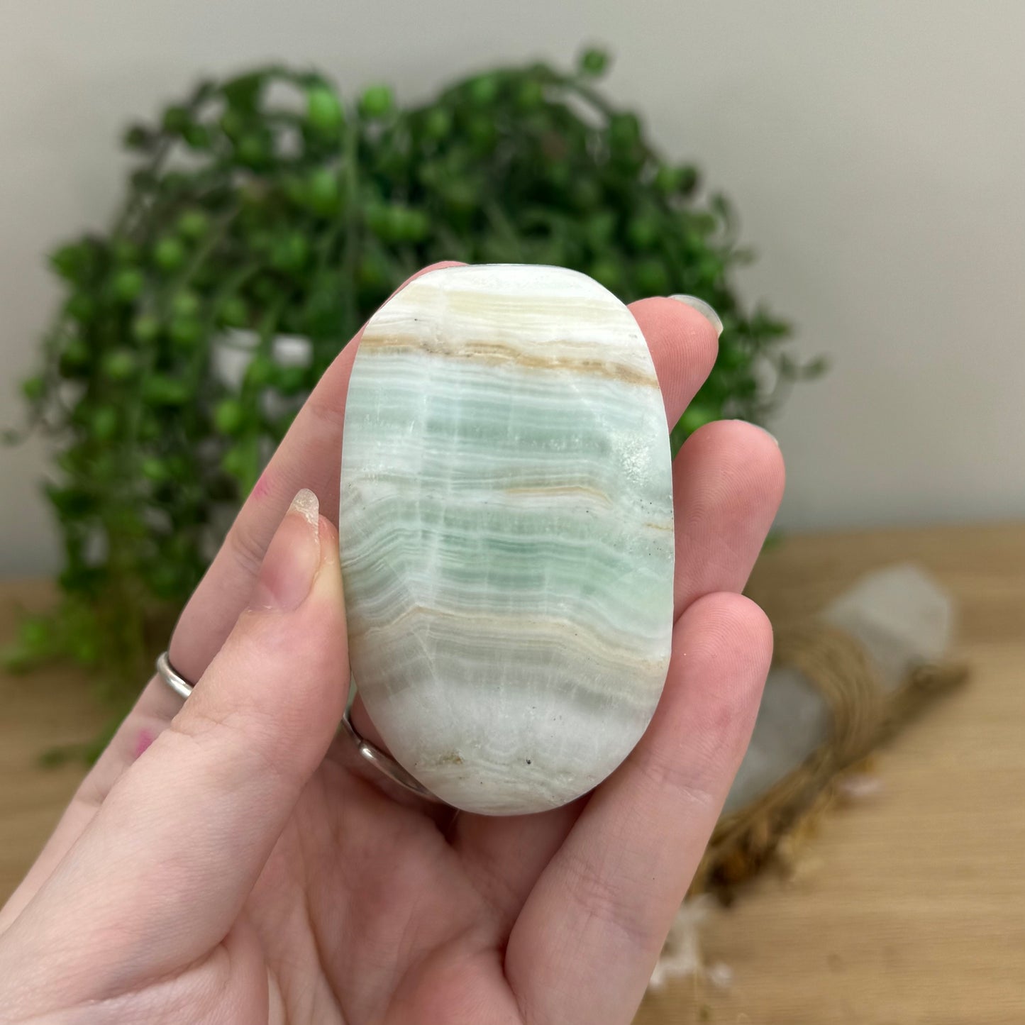 Caribbean Calcite Palm Stone (O565)