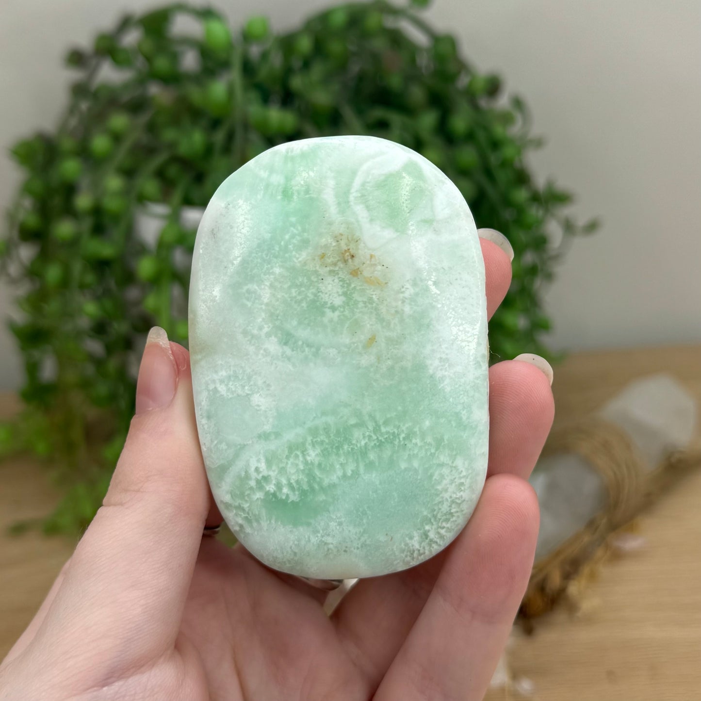 Caribbean Calcite Palm Stone (O566)