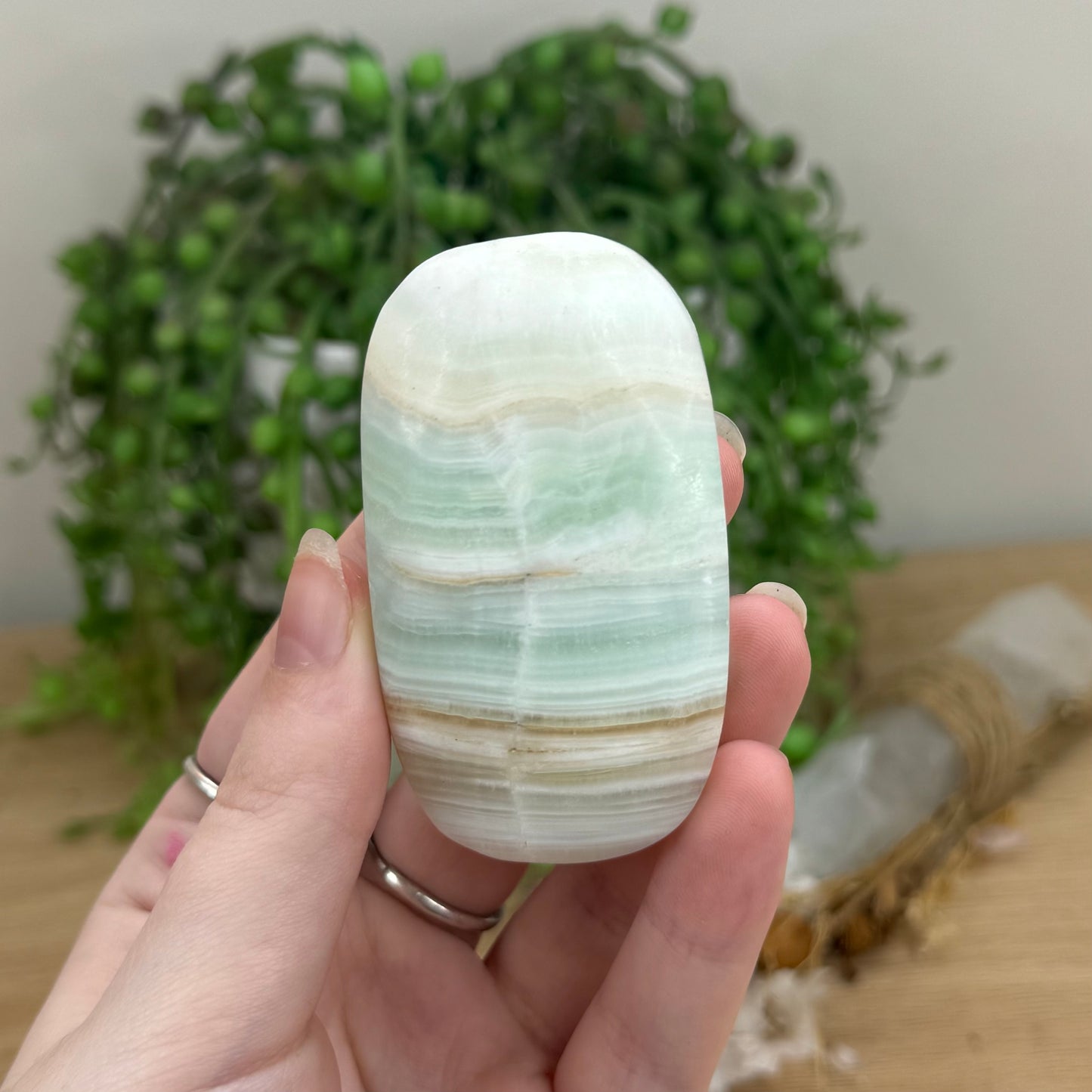 Caribbean Calcite Palm Stone (O564)