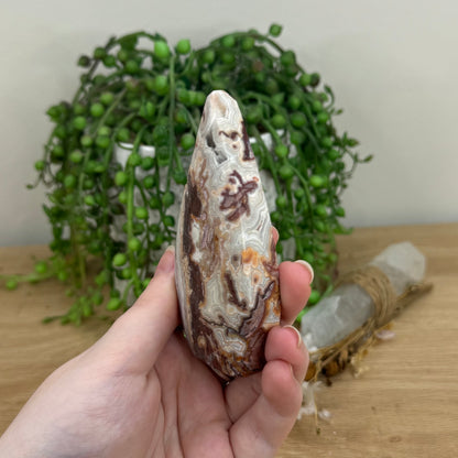 Mexican Crazy Lace Agate Arch Free Form (O614)