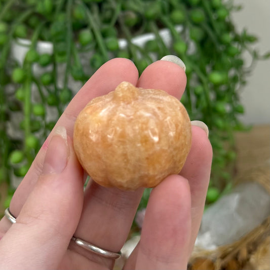 Sunstone Pumpkin (O600) (O598) (O599) (O603) (O602) (O601) (O597) (O595)