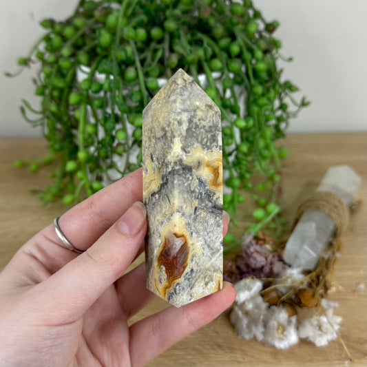 Crazy Lace Agate Point (O757)