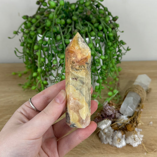 Crazy Lace Agate Point (O756)