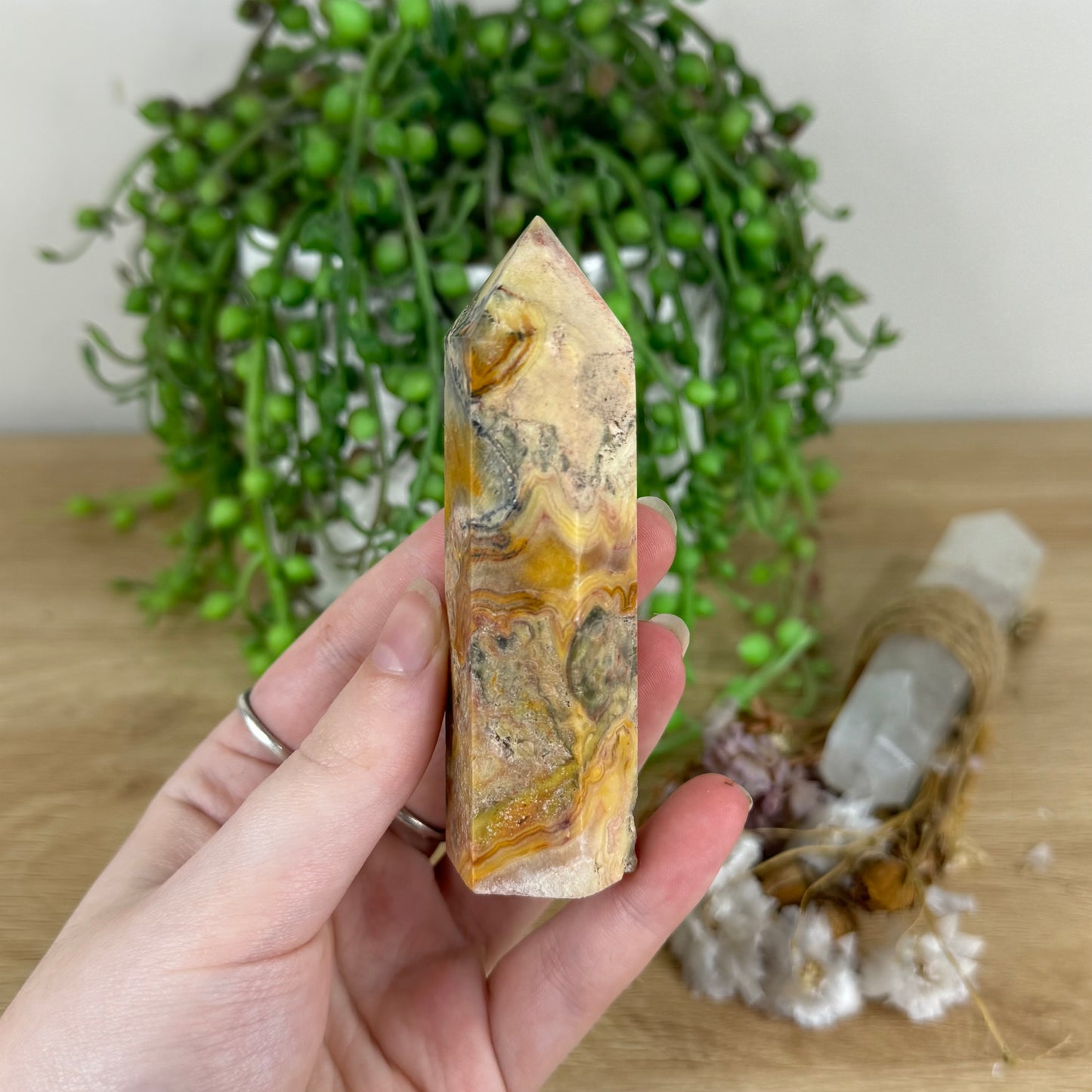 Crazy Lace Agate Point (O755)