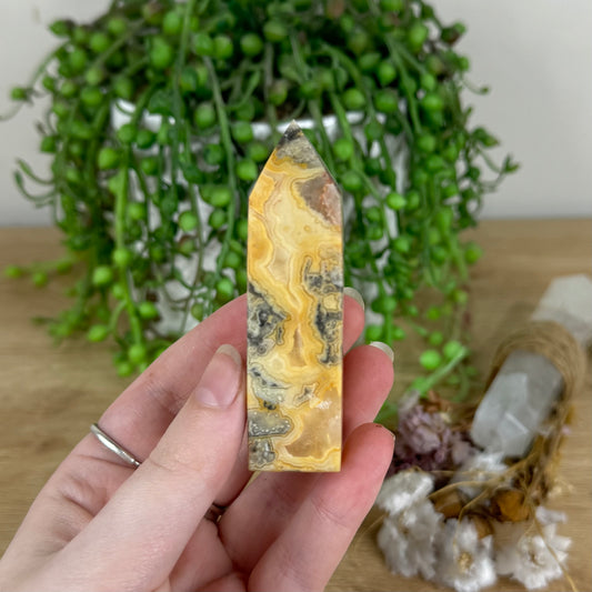 Crazy Lace Agate Point (O752)