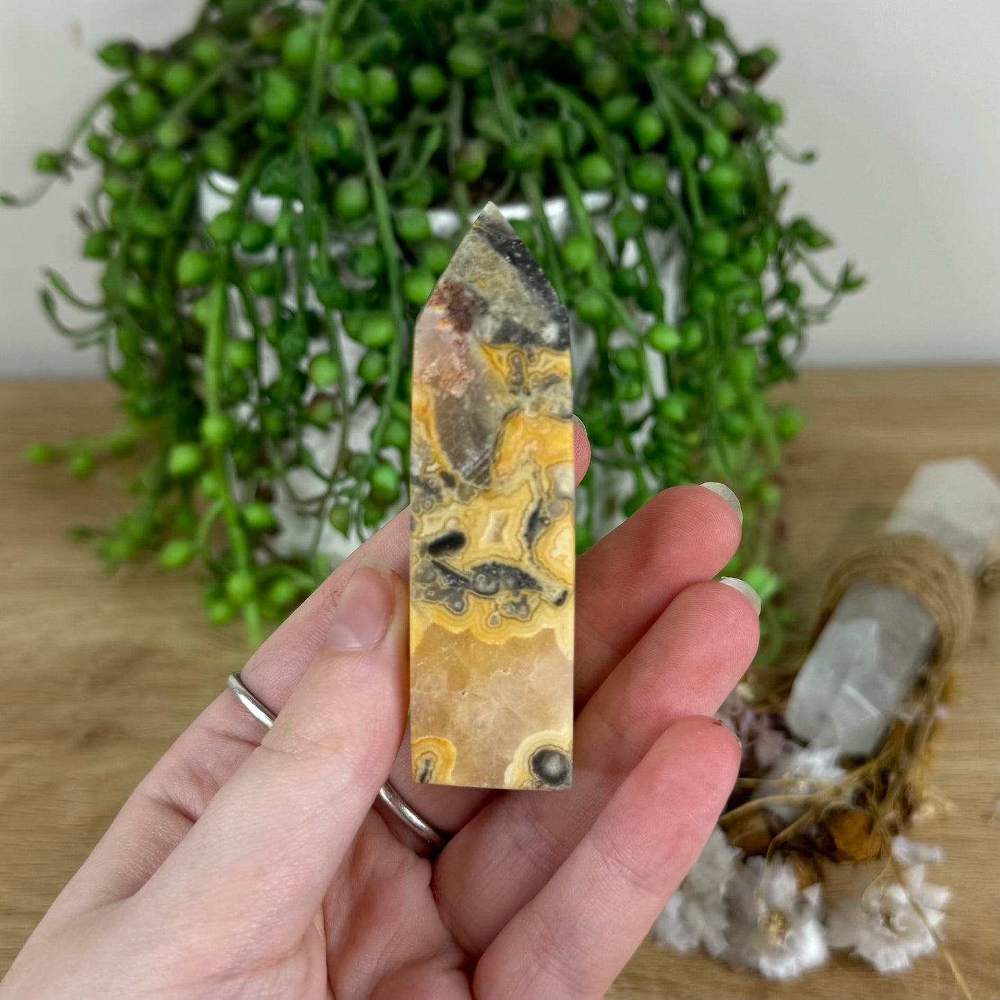 Crazy Lace Agate Point (O752)