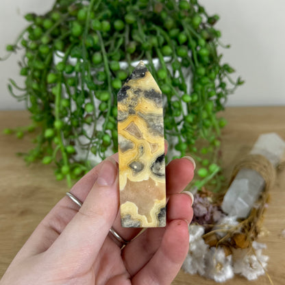 Crazy Lace Agate Point (O752)