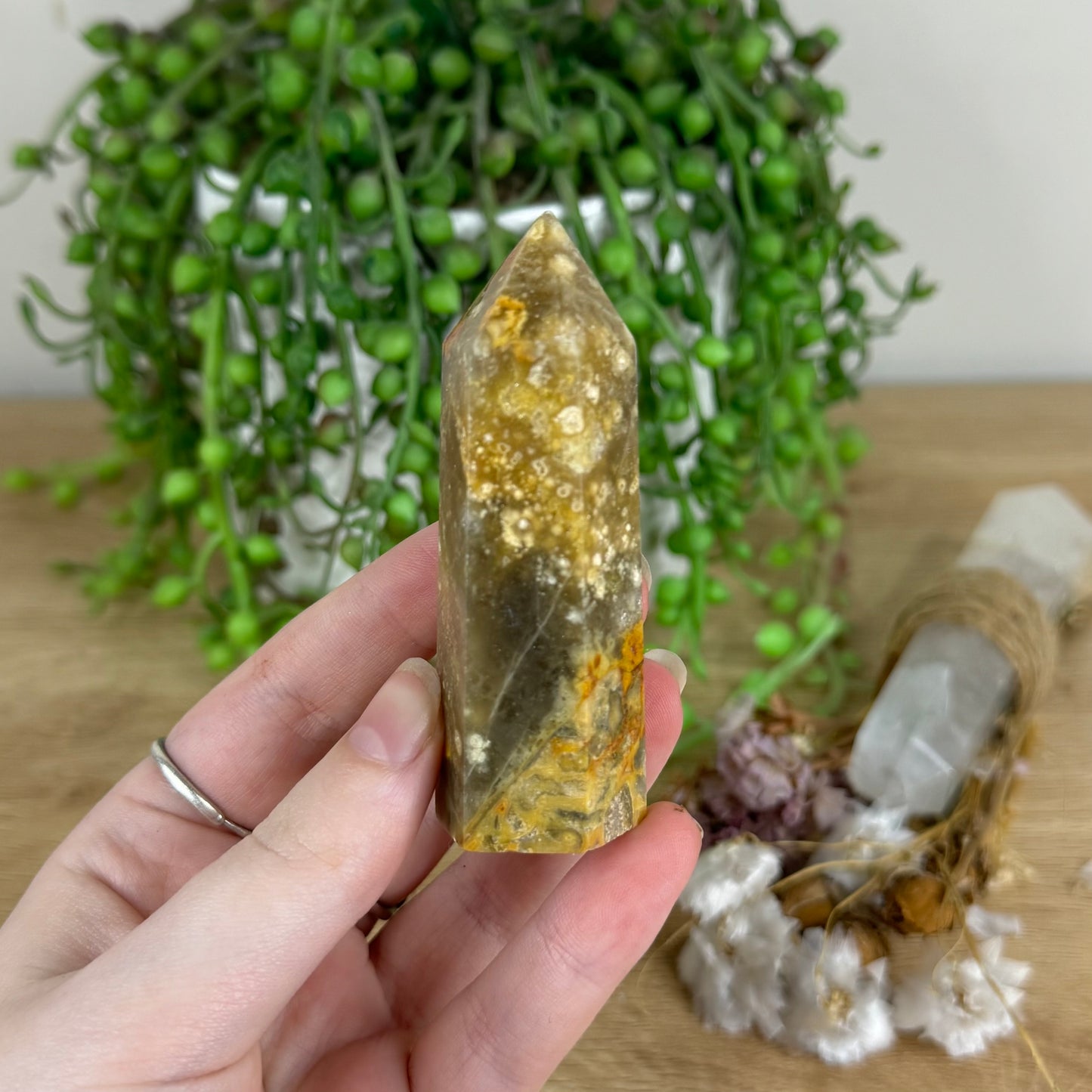 Crazy Lace Agate Point (O751)