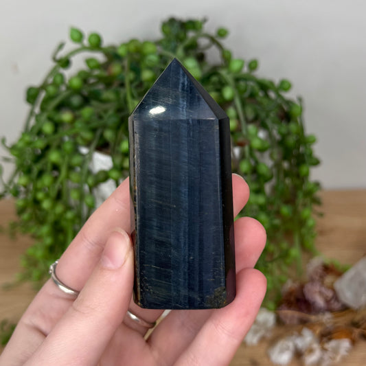 Blue Tiger Eye Point (T64)