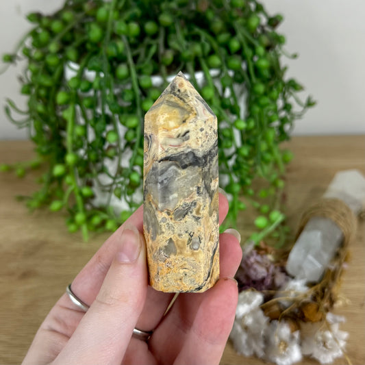 Crazy Lace Agate Point (O750)