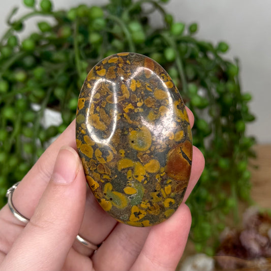 Bamboo Stone Jasper Palm Stone (T77)