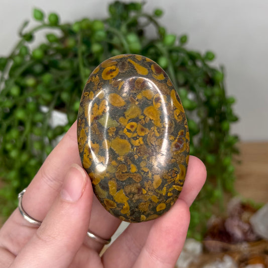 Bamboo Stone Jasper Palm Stone (T75)