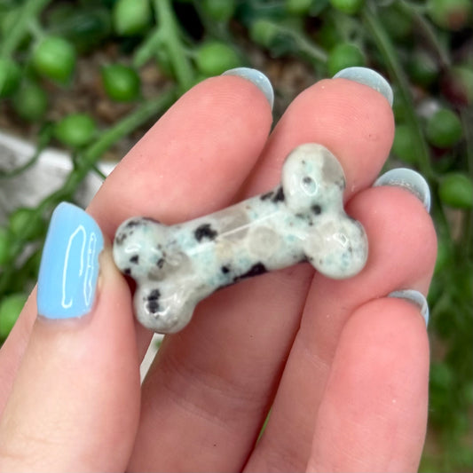 Kiwi Jasper Mini Bone