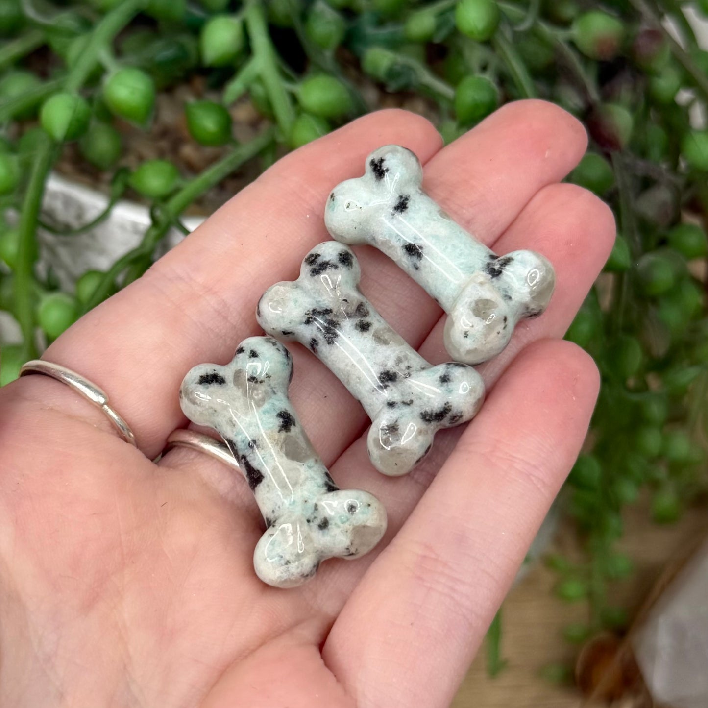 Kiwi Jasper Mini Bone
