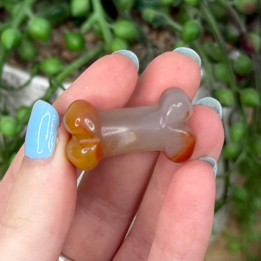 Carnelian Mini Dog Bone