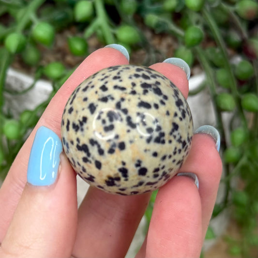 Dalmatian Jasper Sphere (Y441)