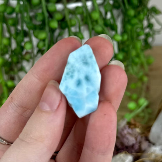 Larimar Slice (O804)