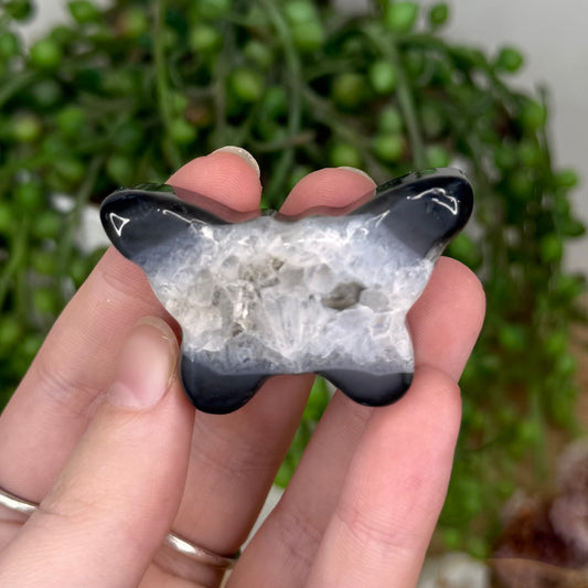 Black Agate Butterfly (S776)
