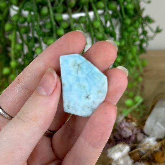 Larimar Slice (O798)