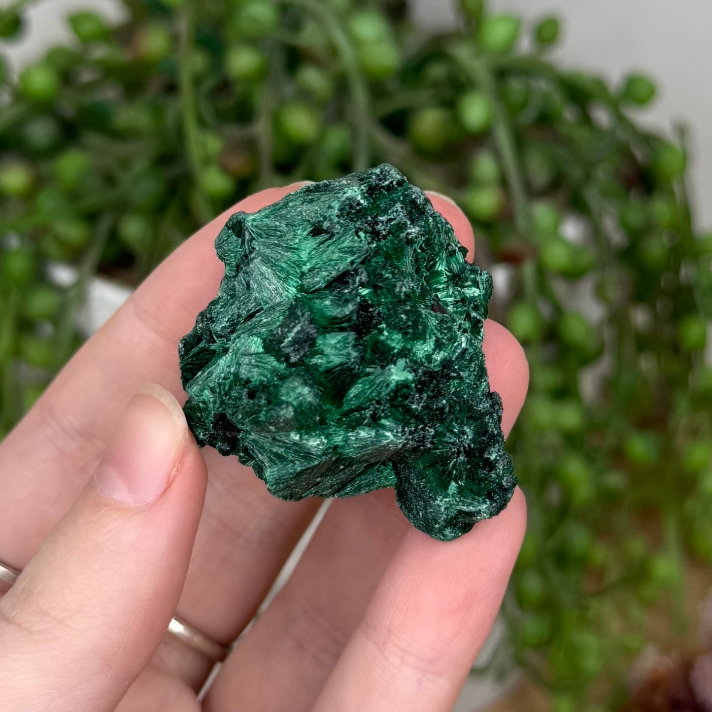 Silk Malachite Raw (T15)