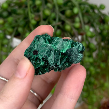 Silk Malachite Raw (T15)