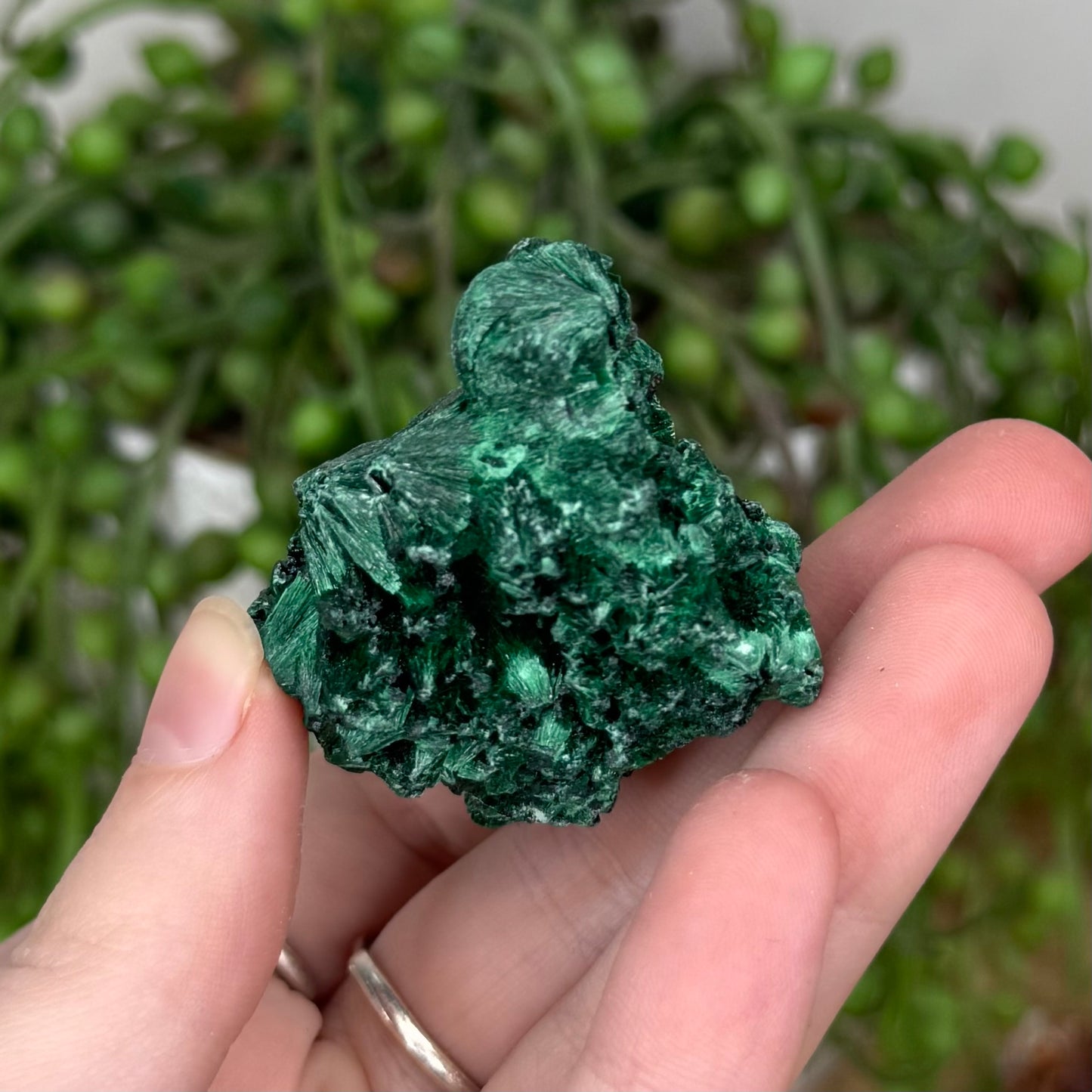 Silk Malachite Raw (T15)
