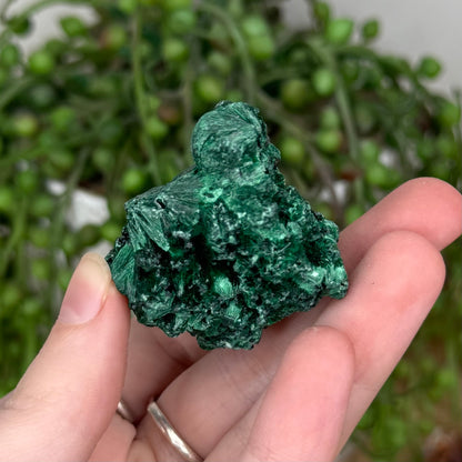 Silk Malachite Raw (T15)