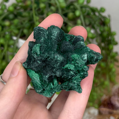 Silk Malachite Raw (T18)