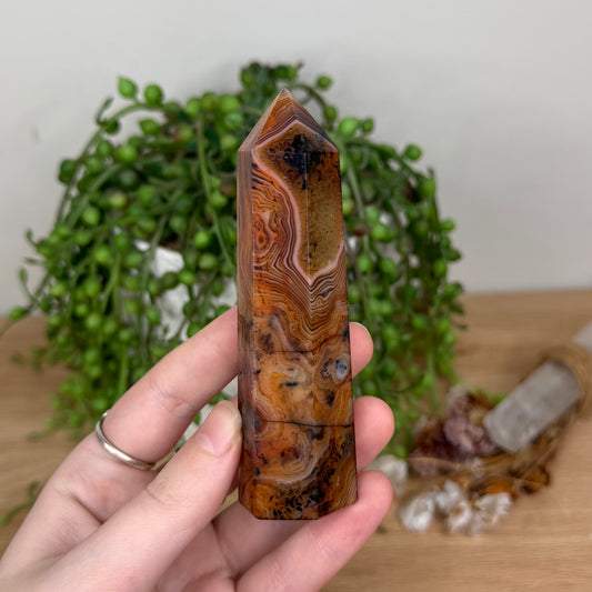 Sardonyx Point (S809)