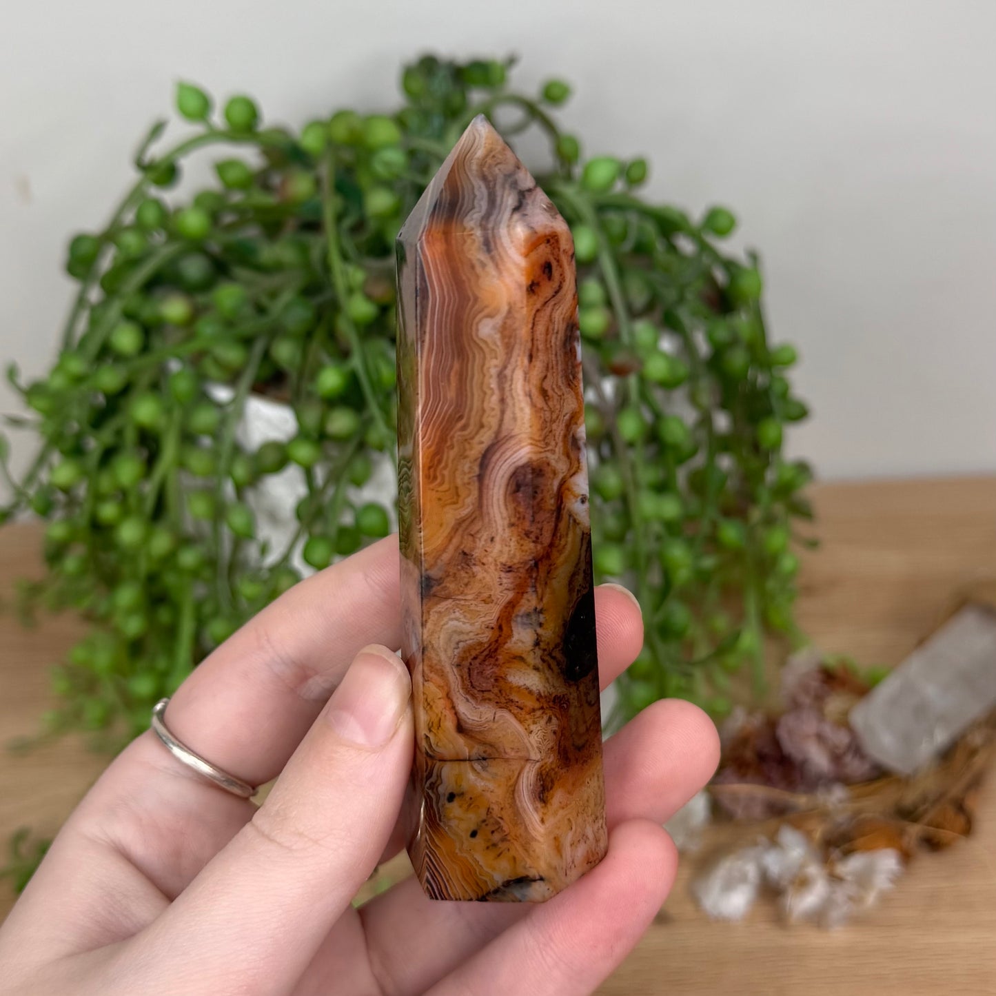 Sardonyx Point (S809)