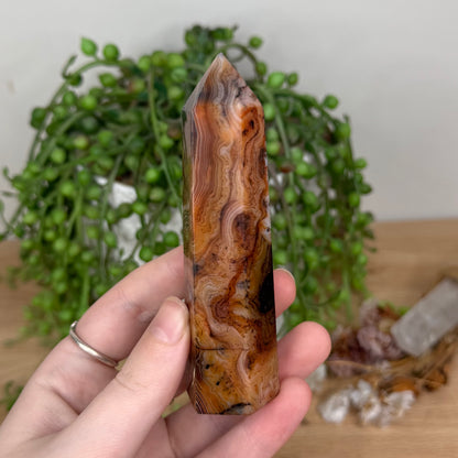 Sardonyx Point (S809)