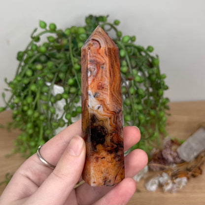 Sardonyx Point (S809)