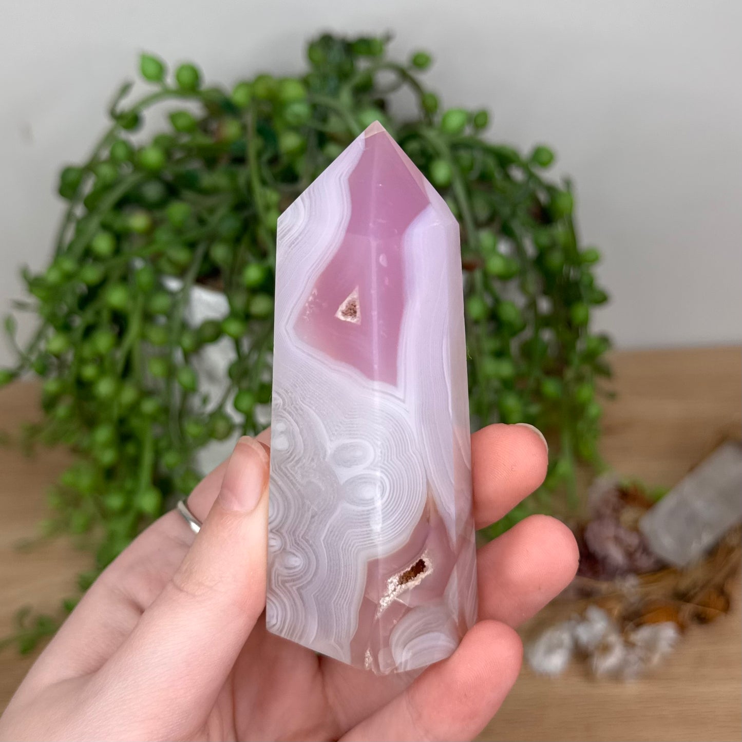 Pink Agate Point (T150)