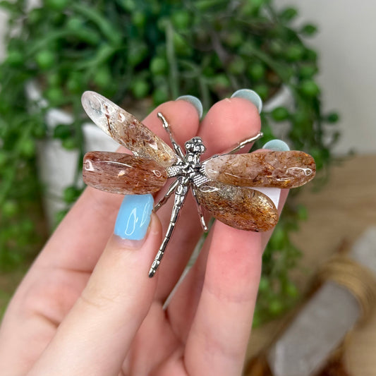 Rutile Dragonfly (Z306)
