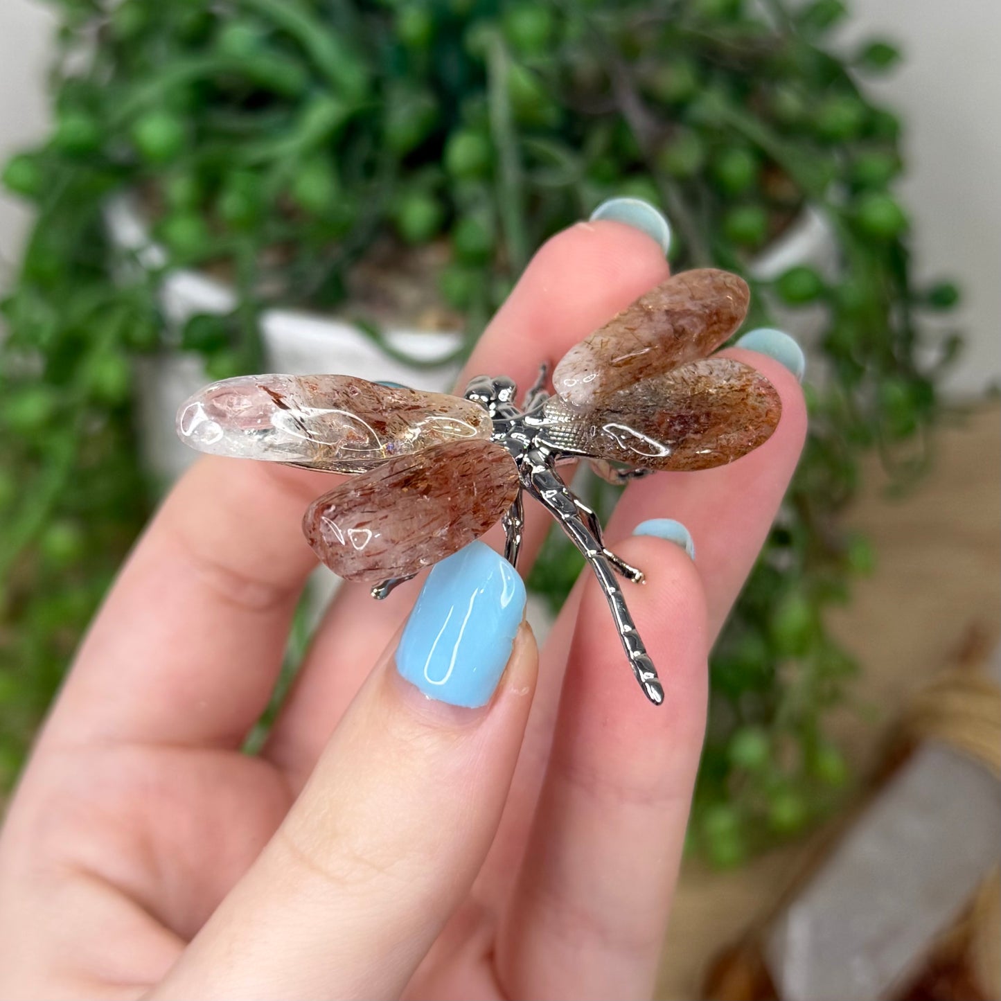 Rutile Dragonfly (Z306)