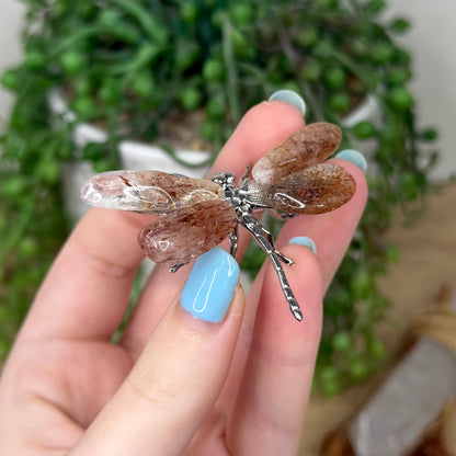 Rutile Dragonfly (Z306)