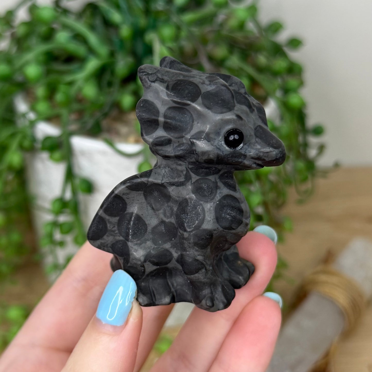 Jasper Dragon (Z201)