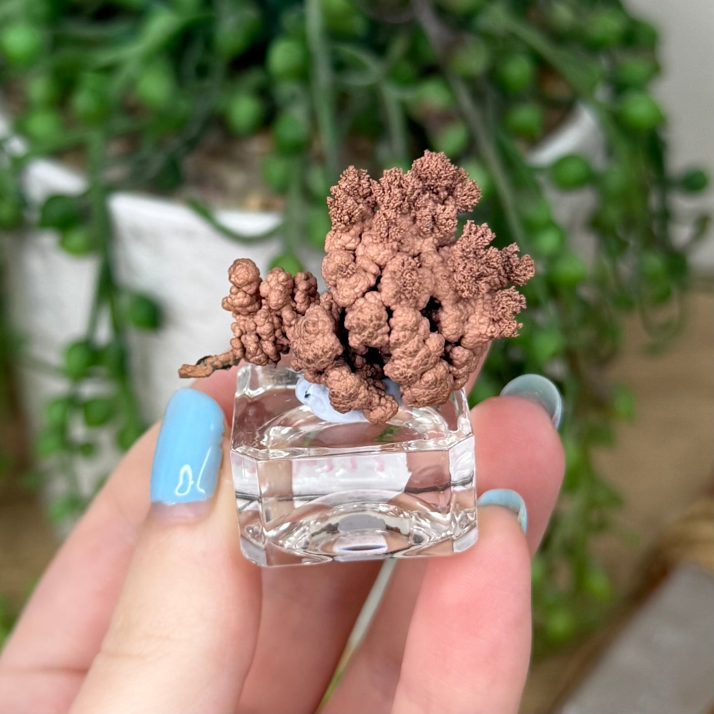 Copper Specimen (Z229)